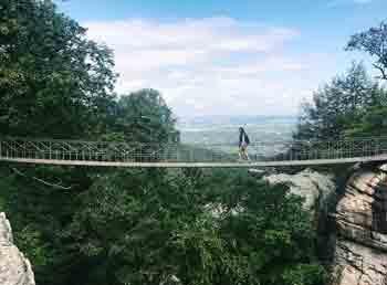 A hiker, walking on a suspension bright over a rich thick forest.