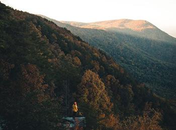 Landscape view of a mountian side with rocks and trees.