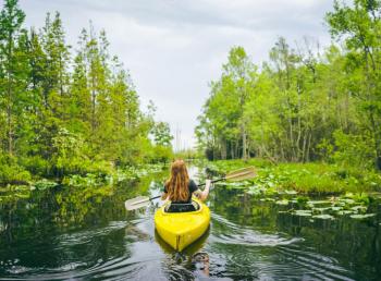 Okefenokee Swamp