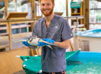 Georgia Sea Turtle Center on Jekyll Island