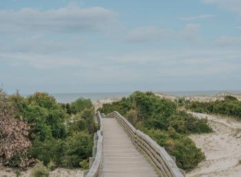 Cumberland Island, Georgia