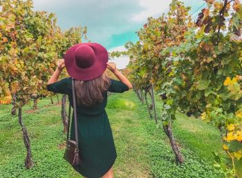 woman exploring a vineyard