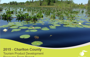 Charlton County TPD report cover