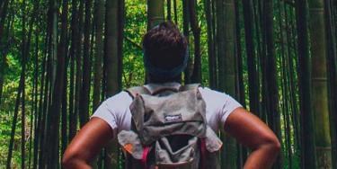 hiker looking up at very tall trees