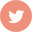 Twitter socicon peach